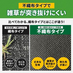 防草シート テープ はしっこ番長 補修テープ【...の詳細画像2