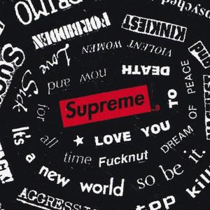 Supreme シュプリーム Spiral S...の詳細画像3