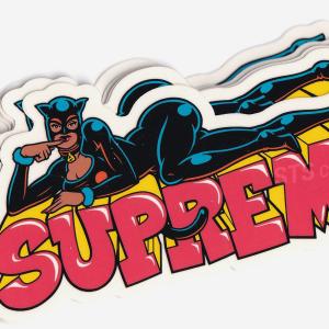 Supreme シュプリーム Catwoman...の詳細画像3