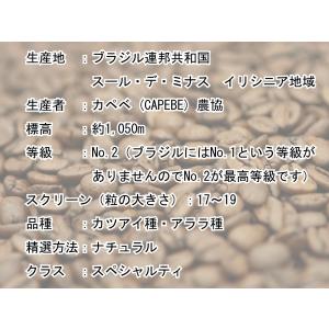 コーヒー豆 コーヒー粉 200g ブラジル イ...の詳細画像2