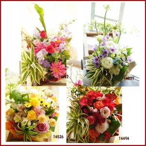 フラワーギフト 誕生日 記念日 生花 プレゼン...の詳細画像2
