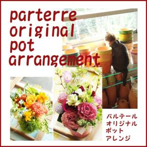 花 誕生日 記念日 ポットLサイズ プレゼント...の詳細画像1