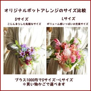 花 誕生日 記念日 ポットLサイズ プレゼント...の詳細画像3
