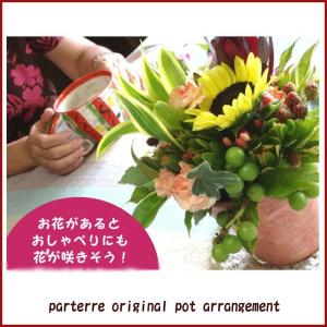花 誕生日 記念日 ポットLサイズ プレゼント...の詳細画像4