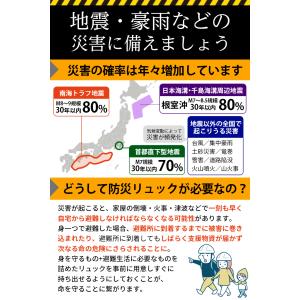 IPIC SONAE 防災リュック 1人用45...の詳細画像2