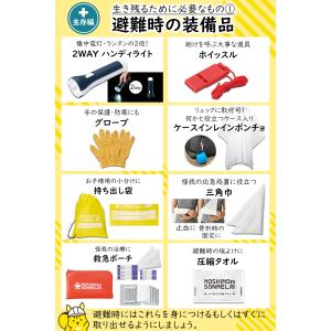 IPIC SONAE 防災リュック 1人用45...の詳細画像4