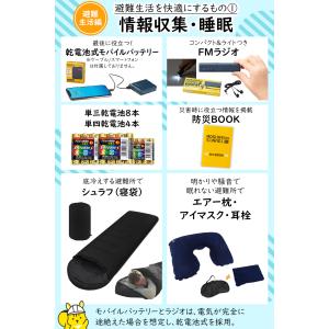 IPIC SONAE 防災リュック 1人用45...の詳細画像5