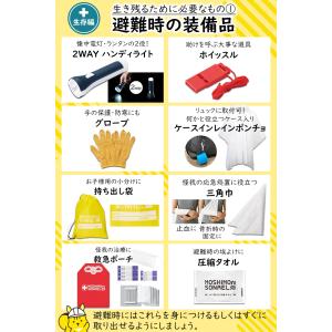 IPIC SONAE 防災リュック 1人用45...の詳細画像3