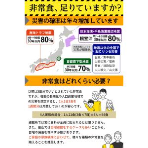 【公式】IPIC SONAE 非常食アルファ米...の詳細画像1