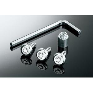 ホンダ（HONDA） 純正 ナンバープレートロックボルト 08P25-EJ5-C00N