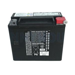 Harley Davidson（ハーレー・ダビッドソン） 送料無料 FXDLS ( 2016年