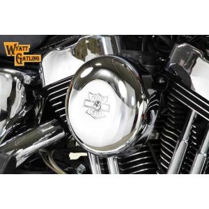 Harley Davidson（ハーレー・ダビッドソン） 【互換品】 51-0751