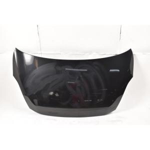 アイシス DBA-ZGM10W ボンネットフード アイシス DBA-ZGM10W ボンネットフード 1F7 77032 : 原木リサイクル