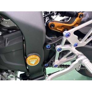 【4月22日出荷】BEET ZX-4R/ZX-25R スイングアームピポットプラグセット ゴールド ...