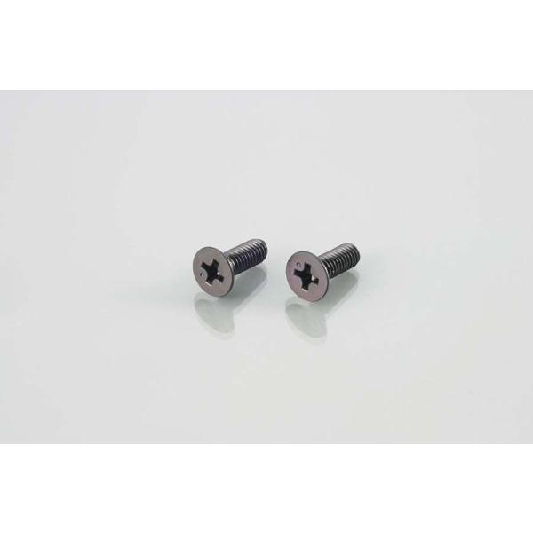 キタコ  マスターCY.CAPビス(BK)4X12 2PC　0900-043-02001