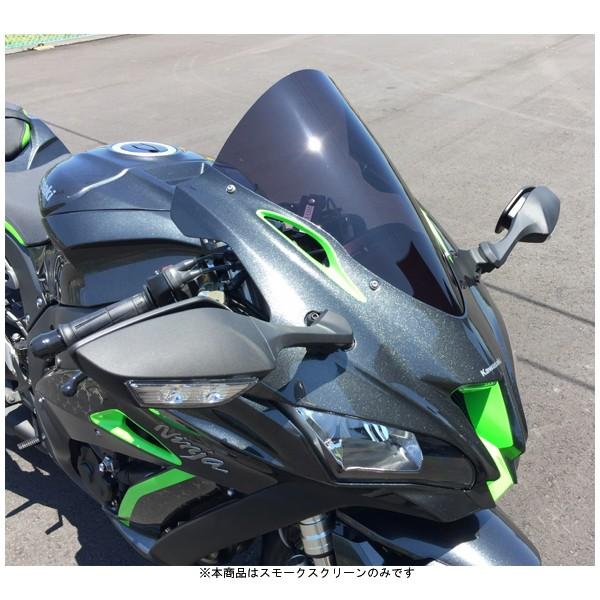 アクリポイント ACRY-Point スクリーン ストリート [スモーク]   ZX-10R('16...