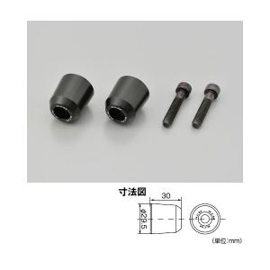 デイトナ RCM concept ミドルウエイトバーエンド 23103