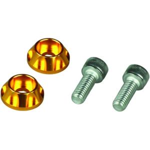 【4月3日出荷】POSH NASAタイプライセンスホルダー GOLD　500095-04