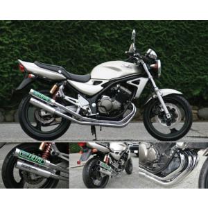 RPM 1663S-01 フルエキゾースト マフラー RPM-67Racing ステンレス φ67