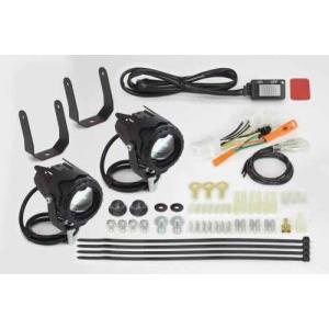 スペシャルパーツ武川 武川 LEDフォグランプキット3.0(950) 2個入