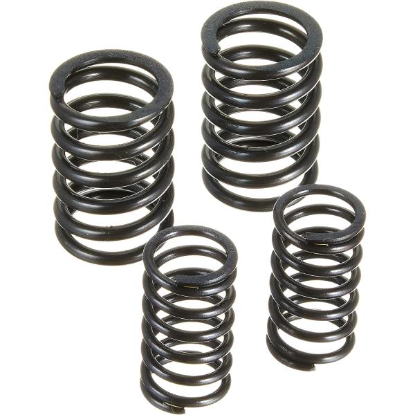 【4月2日出荷】キタコ  バルブスプリングSET(キョウカ) GAG　303-2014300