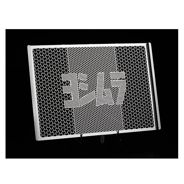 ヨシムラ ラジエターコアプロテクター 14YZF-R1 454-385-0000