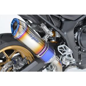 【9月5日出荷】アールズギア CB1000 HORNET/SP GP SPEC フルエキ チタンドラ...