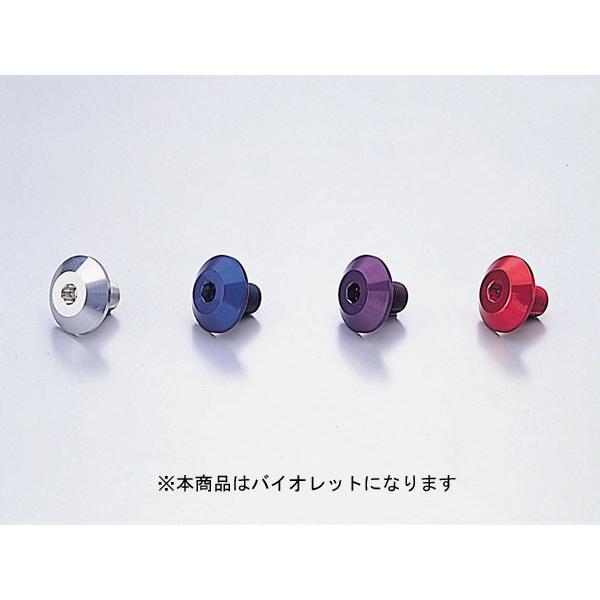 【○メーカー在庫あり】ハリケーン ステムボルト (M14XP1.25)  VI　HT0805V