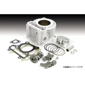 スペシャルパーツ武川 武川 シグナスX(キャブ/FI)用 Sステージ