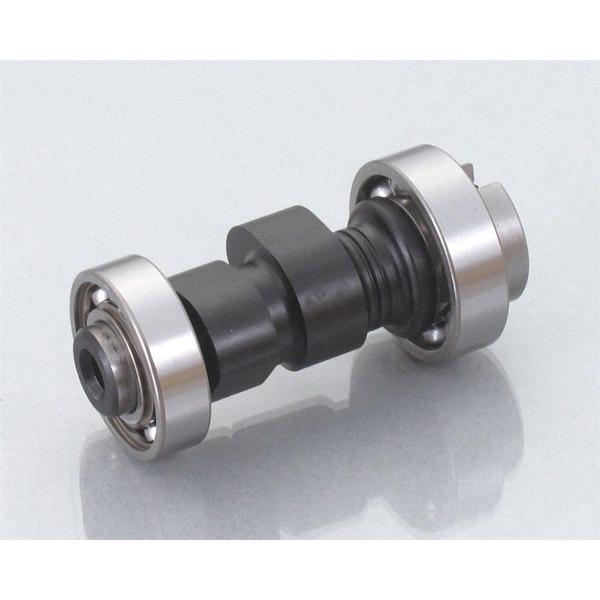 キタコ  ハイカムシャフト TT-R50　300-0084000