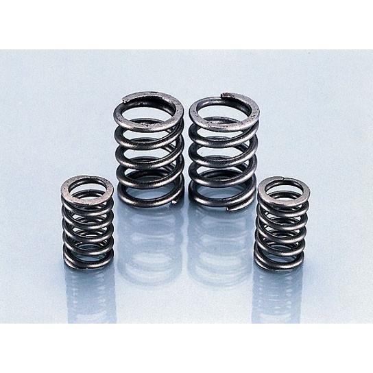 【4月3日出荷】キタコ  バルブスプリングSET CB/XE50　303-1018000