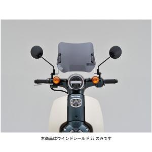 アクリポイント ACRY-Point スクリーン ストリート [スモーク