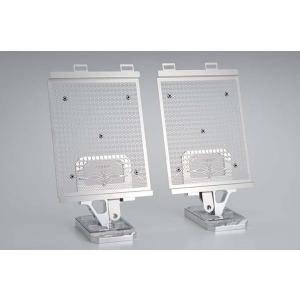 アールズギア R1300GS BMW ラジエターコアガード スモールロゴ・シルバー BB28-RG0...