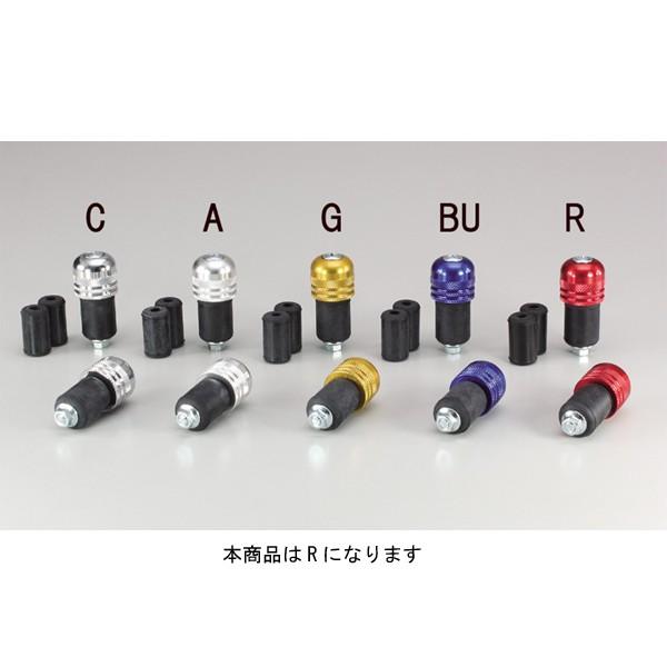 【4月9日出荷】ハリケーン P22・アルミサイドCAP(ローレット) RD HB0315R