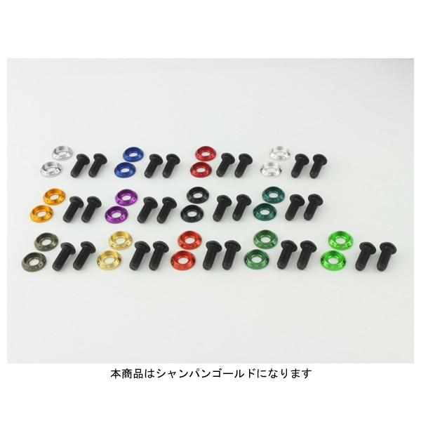 【4月21日出荷】POSH Faith マシンドライセンスホルダーセット(シャンパンゴールド) P5...