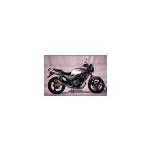 バリオス2 社外 マフラー サイレンサー □X437！ZR250B カスタム素材に