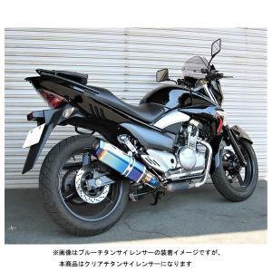 REALIZE（リアライズ） Realize GSR250 バイクマフラー JBK-GJ55D 2012