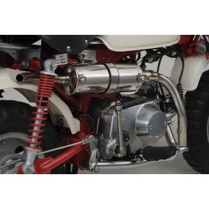 スペシャルパーツ武川 武川 タケガワ 04-02-2308 Zスタイルマフラー