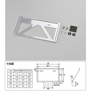 DAYTONA（デイトナ） 【6月9日出荷】デイトナ 軽量ナンバープレート