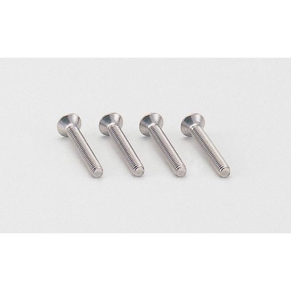 【4月8日出荷】POSH スリム＆シャープウインカー用　レンズビス　4本入 P090046-BS