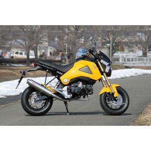 RPM GROM マフラー 80D-RAPTOR Titan　 GROM（グロム）用 RPM6040Y｜partsboxpm