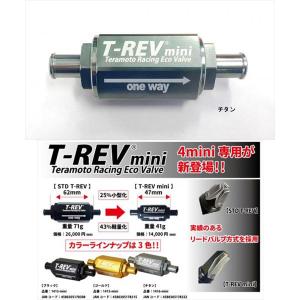 T-REV(寺本自動車商会) ティーレブ T-REVmini SPキット カラー