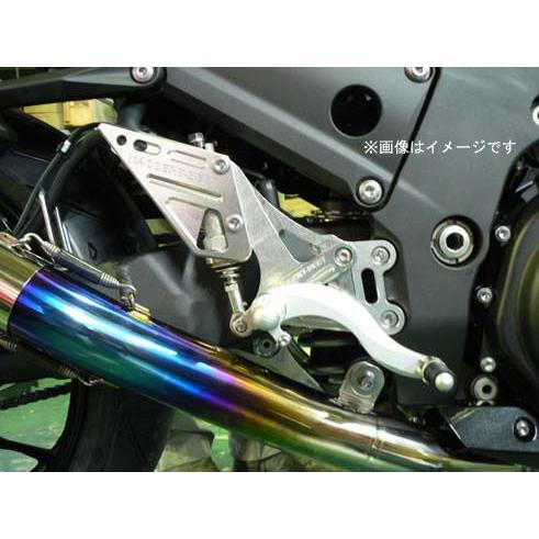 BEET ニンジャ ZX-14R ABS用　ハイパーバンク　ヒールガード無仕様　固定式[シルバー]　...