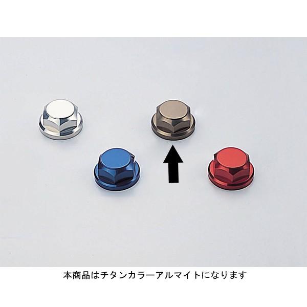 【3月26日出荷】ハリケーン ステムナット (M24XP1.0) TI HT0803T