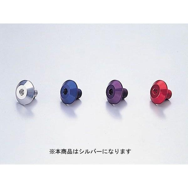 【○メーカー在庫あり】ハリケーン ステムボルト (M14XP1.25)  SV　HT0805A