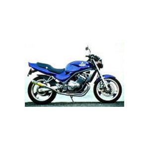 RPM 1035 マフラー DUAL (デュアル) バリオス1 BALIUS-1 : バイクマン
