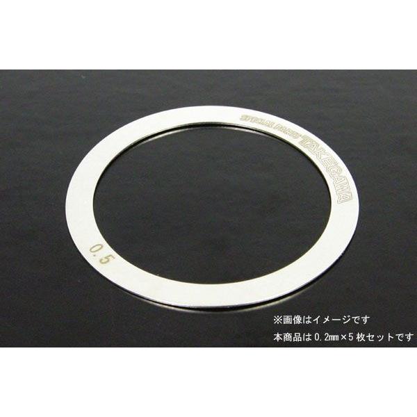 武川  アキシャルシムキット0.2MM/5マイイリ　01-10-0011
