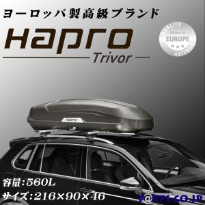 Thule (スーリー) Motion XT Alpine グロスブラック TH6295-1 ルーフ