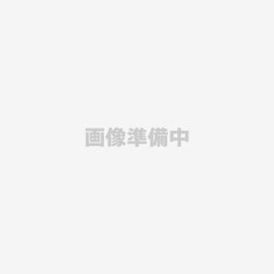 日立 HITACHI シェーバー 掃除用ブラシ RM-FJ20-007