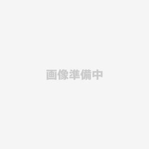シャープ SHARP ワープロ用タイプESリボンカセット 黒（3個） TYESB3